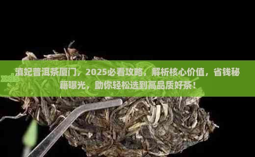 滇妃普洱茶厦门