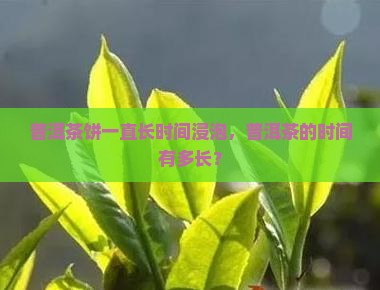 长时间泡普洱茶饼好吗