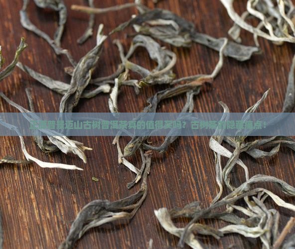 正源普景迈山古树普洱茶