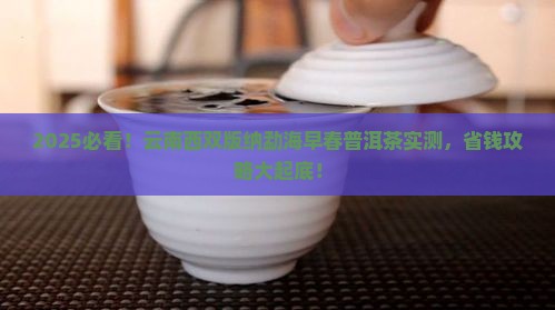 云南西双版纳勐海早春普洱茶