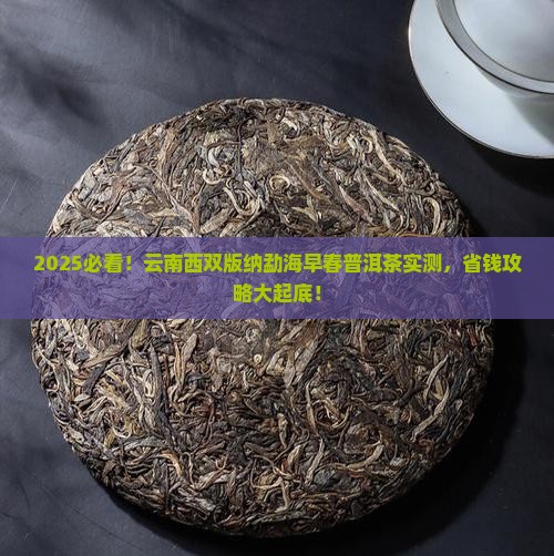 云南西双版纳勐海早春普洱茶