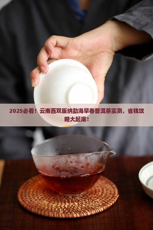 云南西双版纳勐海早春普洱茶