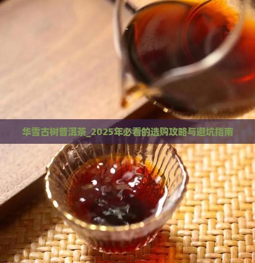 华雪古树普洱茶