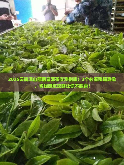 云南深山部落普洱茶怎么样的