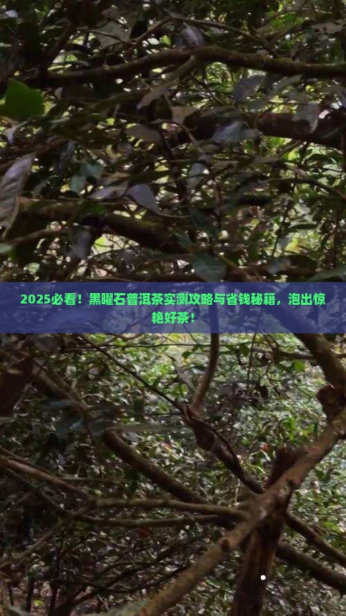 黑曜石普洱茶怎么泡