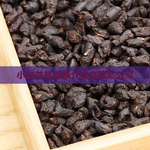 小红书普洱茶介绍
