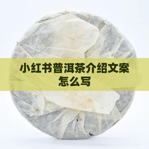 小红书普洱茶介绍