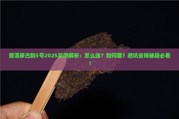 普洱茶古韵5号