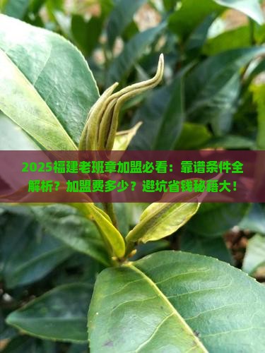 福建靠谱的老班章加盟条件
