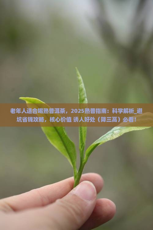 老年人适合喝熟普洱茶