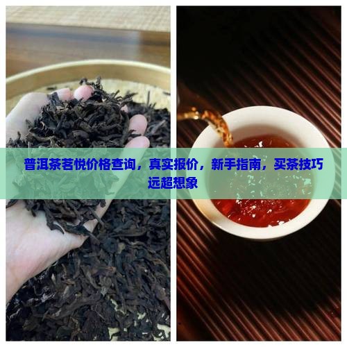 普洱茶茗悦价格官网查询