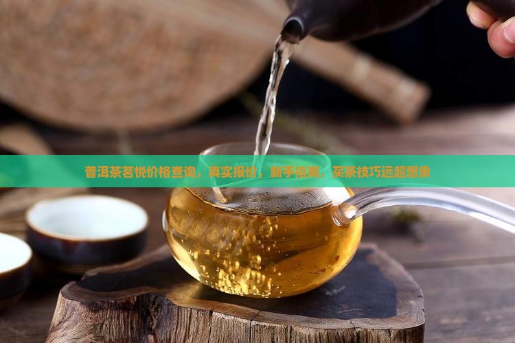 普洱茶茗悦价格官网查询