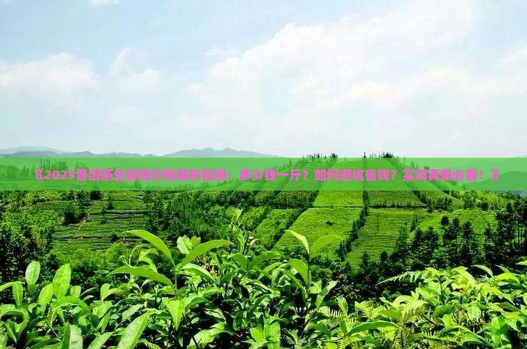 意境普洱茶生茶砖多少钱