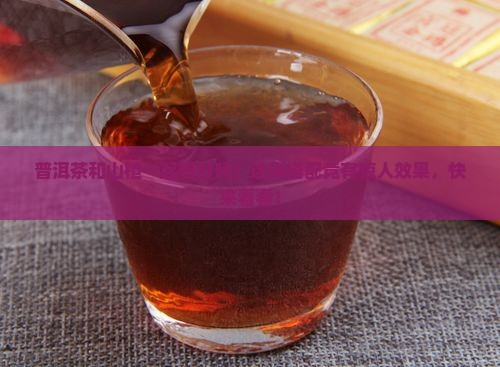 普洱茶和山楂一起喝好吗