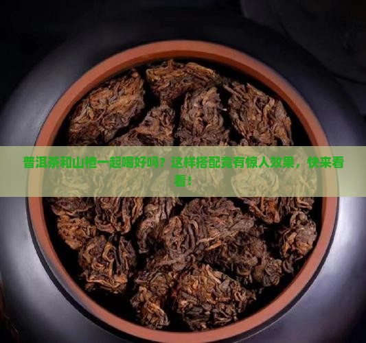 普洱茶和山楂一起喝好吗