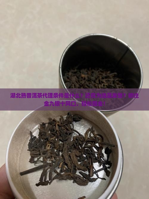 湖北熟普洱茶代理条件