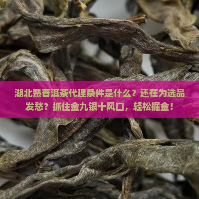 湖北熟普洱茶代理条件
