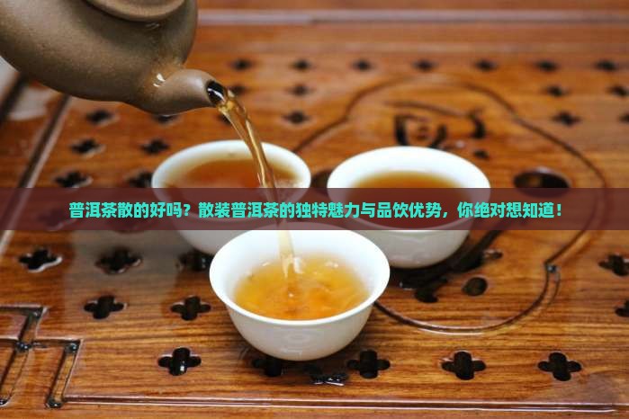 普洱茶散的好吗