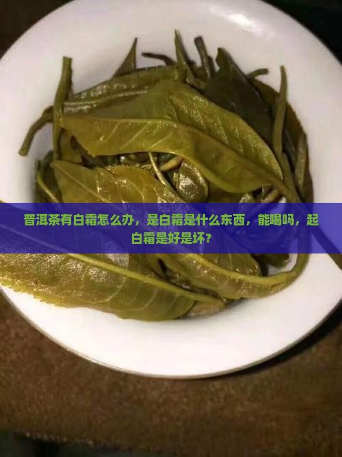 普洱茶有白霜怎么办