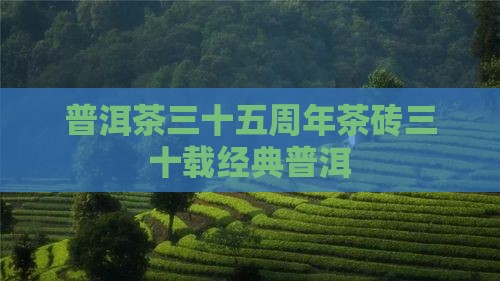 铭砖普洱茶35年