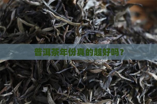 普洱茶是年份越陈越好吗