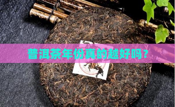 普洱茶是年份越陈越好吗