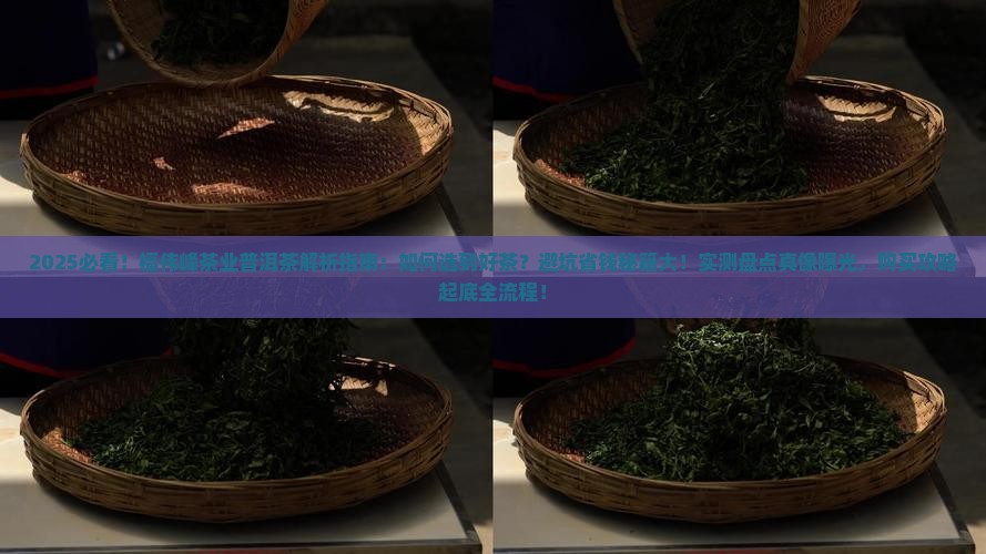 福伟峰茶业出品的普洱茶