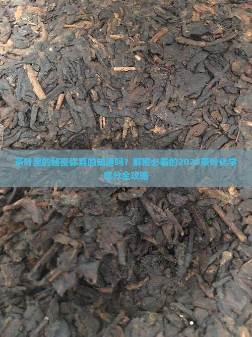 茶叶中的化学成分