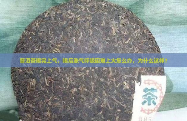 普洱茶喝完上气