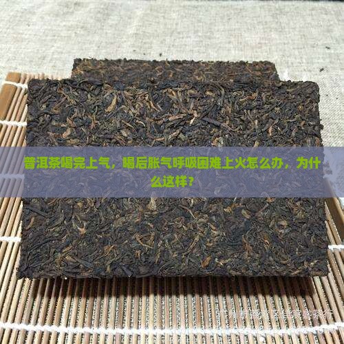普洱茶喝完上气