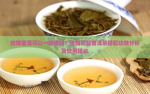 玫瑰普洱可以一起喝吗