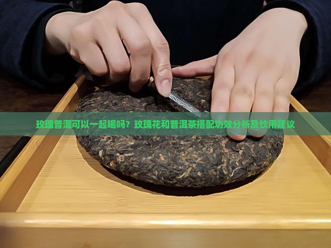 玫瑰普洱可以一起喝吗