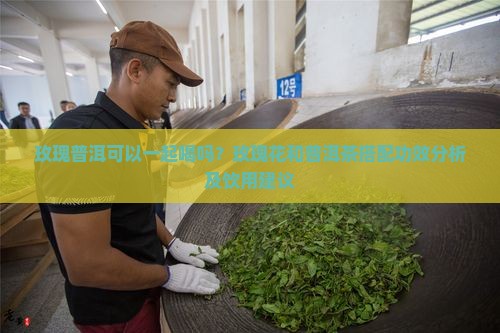 玫瑰普洱可以一起喝吗