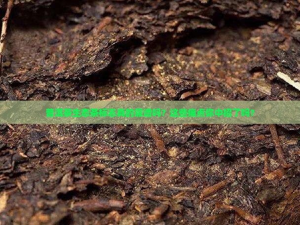 普洱茶生态茶标志 普洱茶生态茶标志
