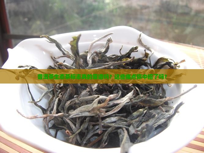 普洱茶生态茶标志 普洱茶生态茶标志