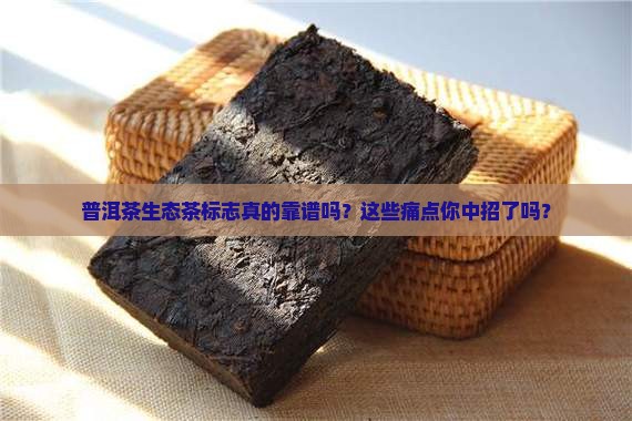 普洱茶生态茶标志 普洱茶生态茶标志
