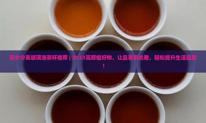 茶水分离玻璃泡茶杯推荐