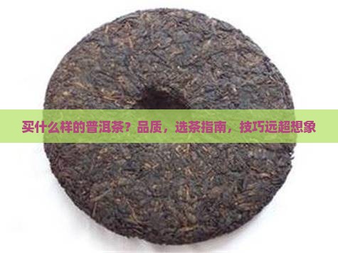 买什么样的普洱茶