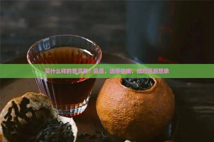 买什么样的普洱茶