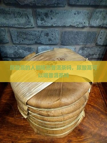 尿酸高的人能喝熟普洱茶