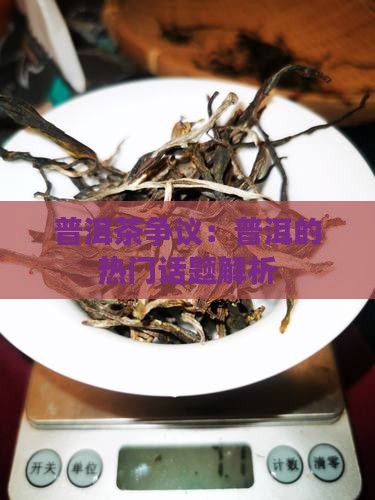 普洱茶争议话题有哪些