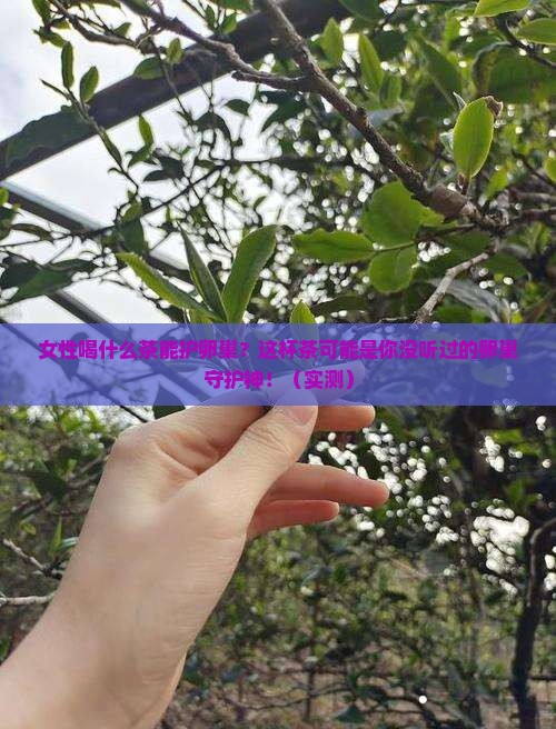 女性喝什么茶可以保护卵巢