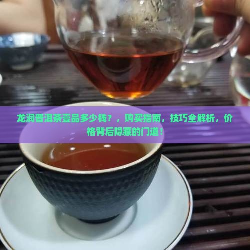 龙润普洱茶壹品多少钱