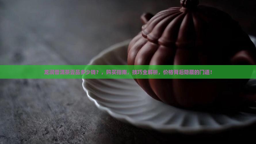 龙润普洱茶壹品多少钱