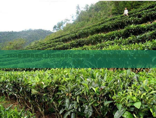 普洱茶包装纸上的虫洞