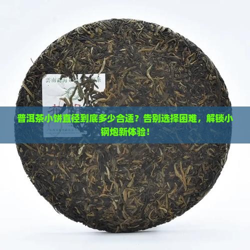 普洱茶小饼直径