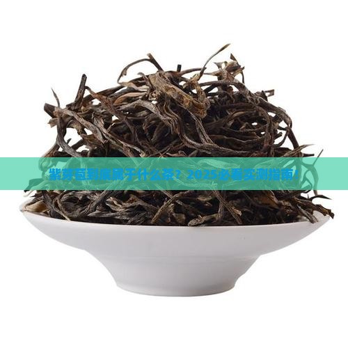 紫芽苞是属于什么茶