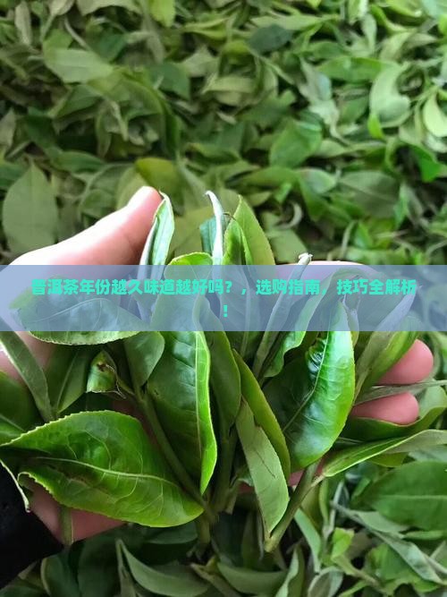 普洱茶年份越久味道越好吗