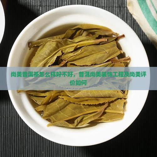 尚美普洱茶怎么样好不好