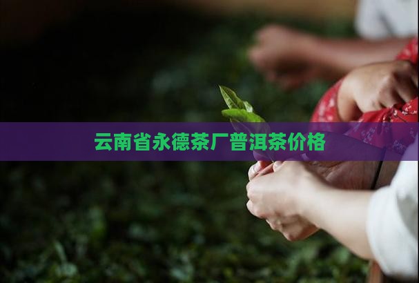 云南省永德茶厂普洱茶价格